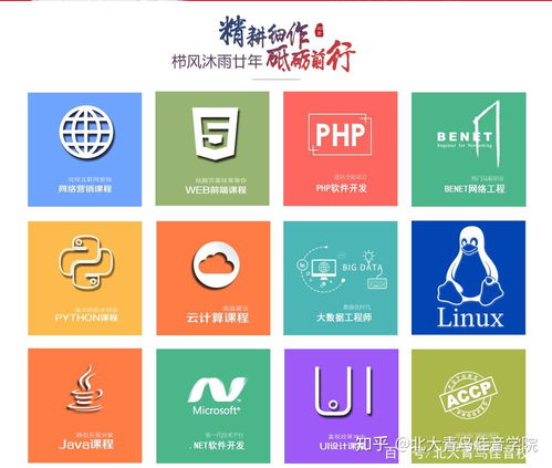 北大青鳥基礎(chǔ)軟件服務(wù)專業(yè)詳解及學(xué)費(fèi)參考